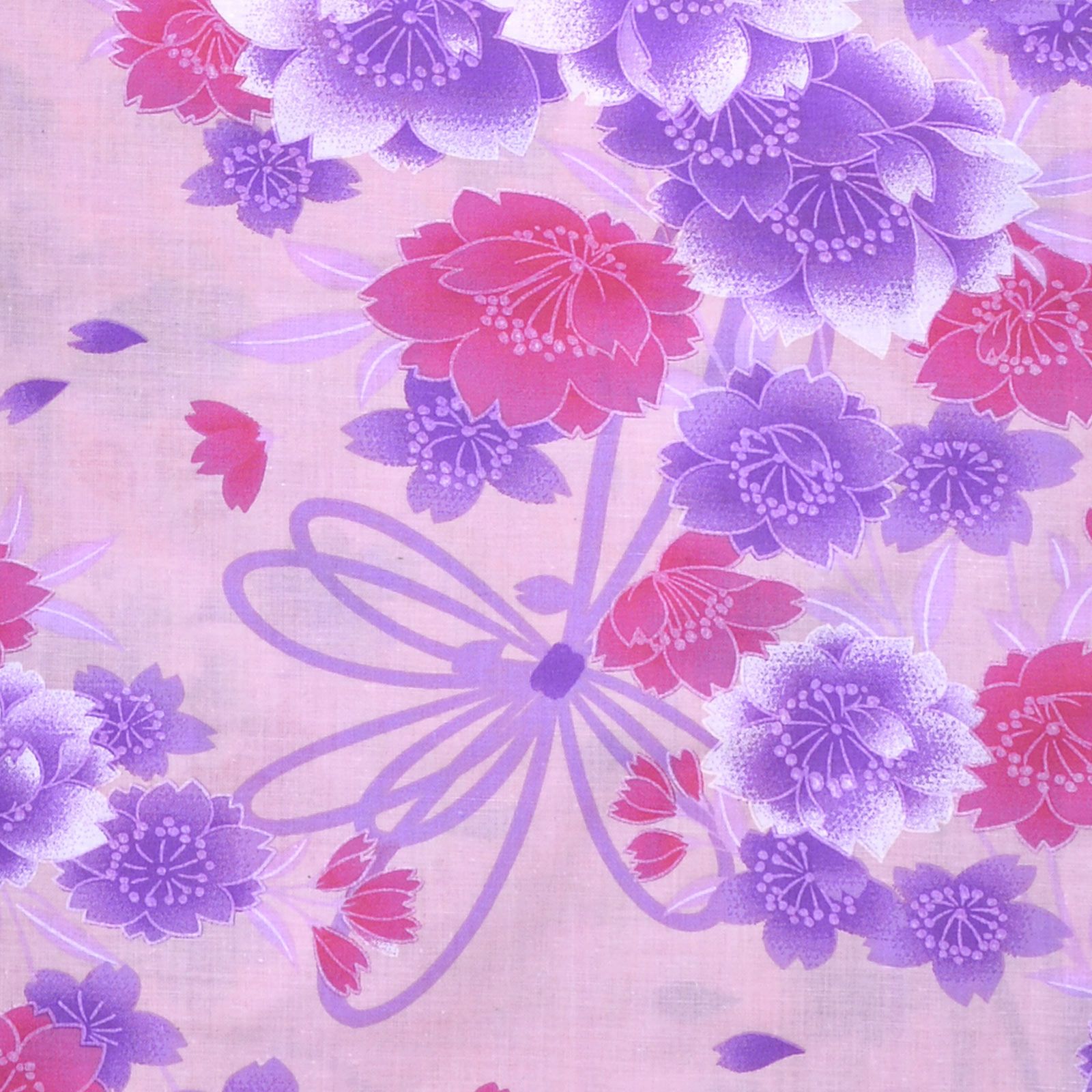 000000021459-02.jpg?size=l&w=
