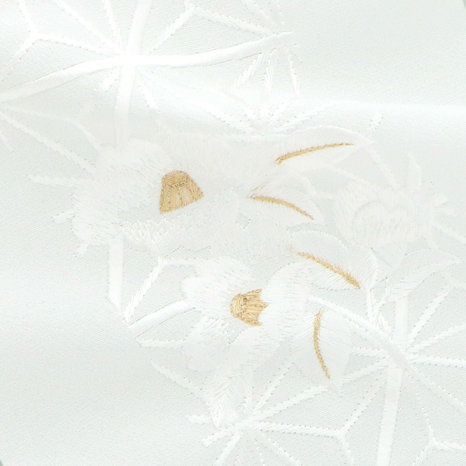 000000024659-02.jpg?size=l&w=