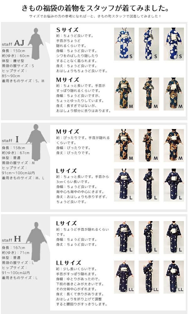 洗える着物 セット「袷着物：アラベスクに南天 藤色＋京袋帯：献上鳥